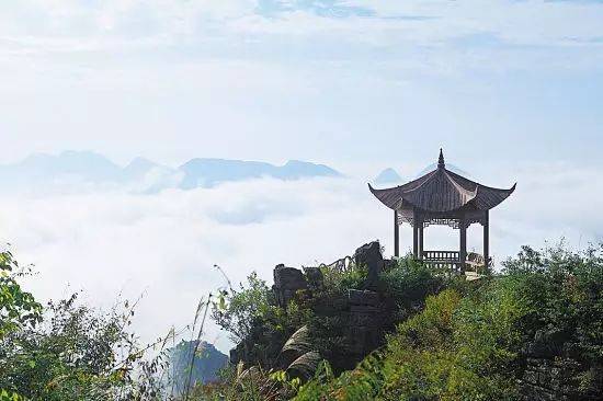 生活的美学,旨在抵抗一个字 ——忙