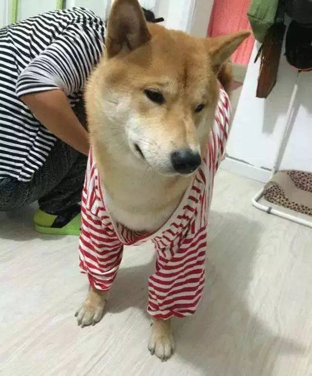 “哎呀妈呀!不行了! 谁来救救我!! ”哈哈哈哈哈哈哈哈哈哈