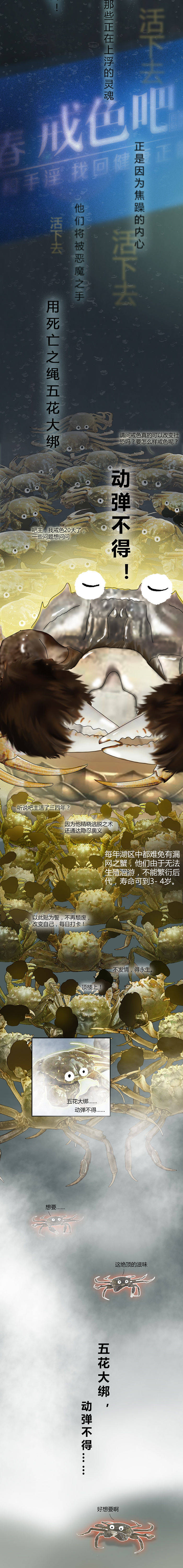 蟹塘梦幻曲