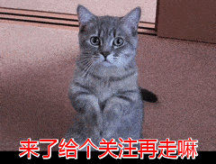 狗狗有这5个饲养条件,说明已具备长寿“潜质”