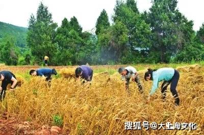 散文《张望》 湖北作者 周凌