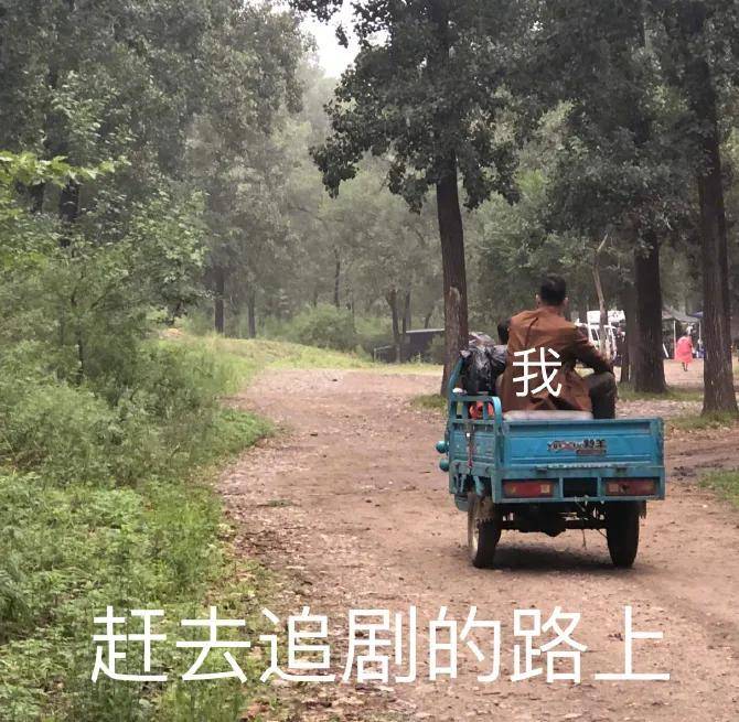 反转、高能、全员CP,这剧我真香了!