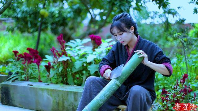 成功可以复制,但如果不满足这3点,想打造另一个李子柒,非常难