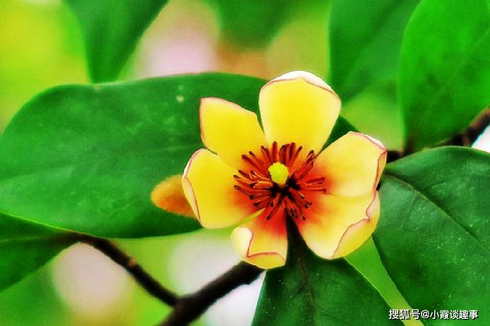 适合发说说的经典短语,精辟走心,值得分享