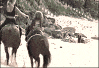 搞笑GIF:大姐,怨不得别人,这事故你得负全责啊