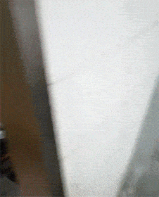 搞笑GIF:大嫂在大哥的指导下第一次学骑电动车,有点小激动