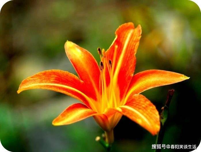 聚散随缘,得失由命