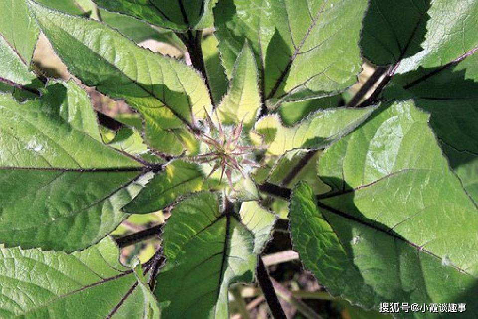 很走心的生活感悟短信,句句有深意,让人回味无穷