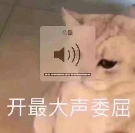 铁打的“刘星”,流水的绯闻女友