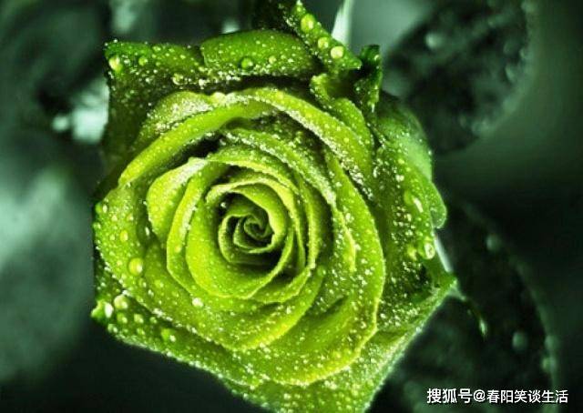 精辟心灵的个性签名,句句走心,让人深思