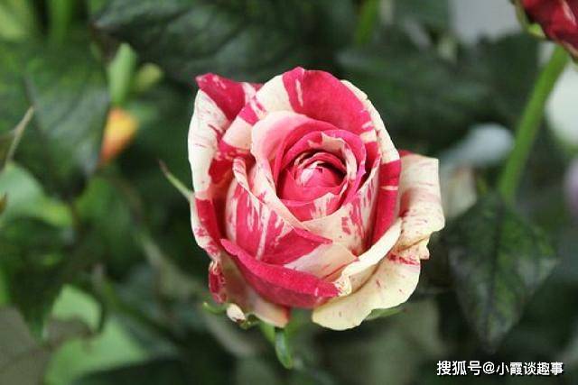 很入心的人生感悟句子,经典现实,催人奋进