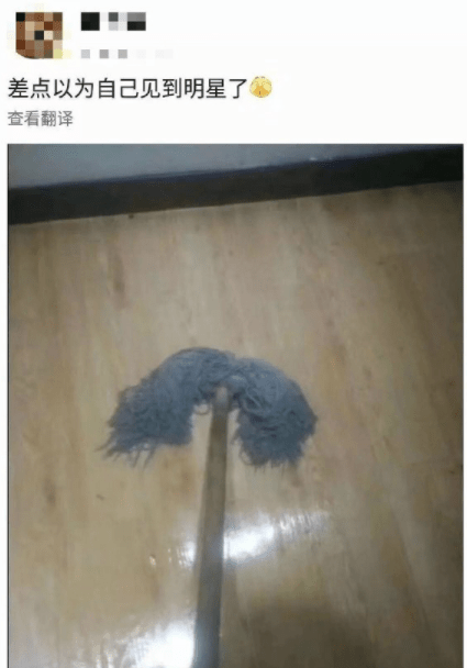 听说家里养狗的人心理承受能力都很强!