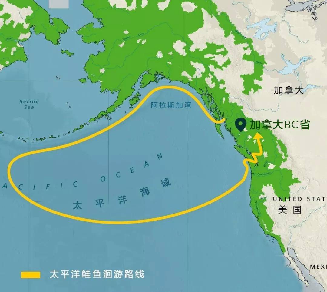 泛旅行一城一故事:一年一度的生命奇观