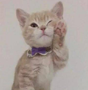 主人想给小橘猫洗澡,猫咪抱住水管卖萌,网友直呼受不了