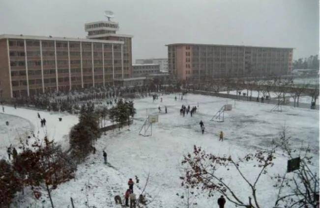 1993年,成都下了一场北方的雪