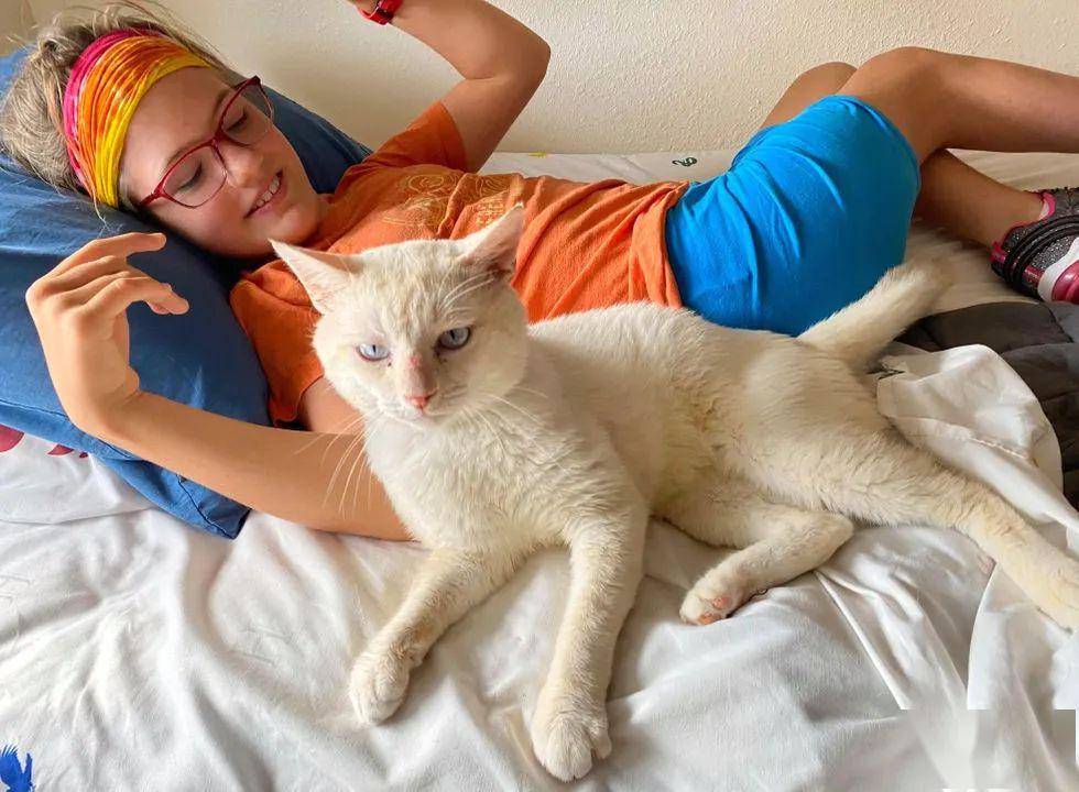 坐电动轮椅去领养猫,很多猫都被吓跑,唯有它敢主动接近!