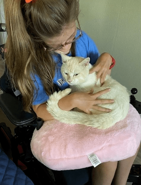 坐电动轮椅去领养猫,很多猫都被吓跑,唯有它敢主动接近!