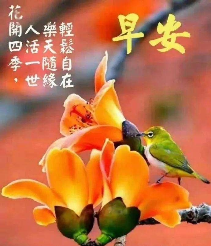 周末问候大家早上好祝福语录图片 特漂亮早上好图片表情动态带字