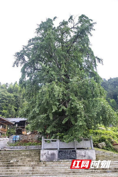 扶贫印记·组图丨到了洞口县 记得去看看“宝瑶八景