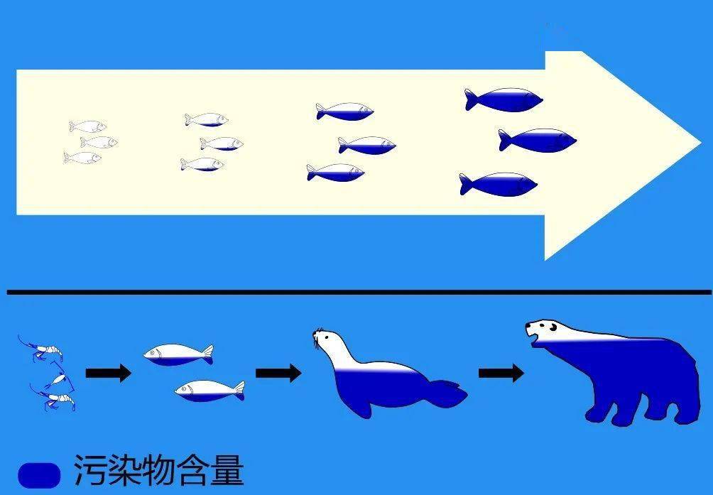 都说污染多,腰花、肝尖、脑花还能吃吗