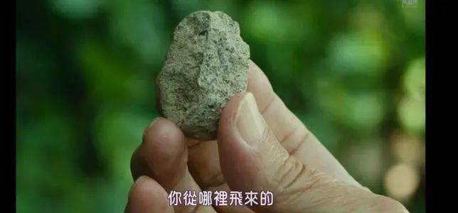 这位日本国宝级艺术家告诉你:不受名利影响的人生有多惬意!