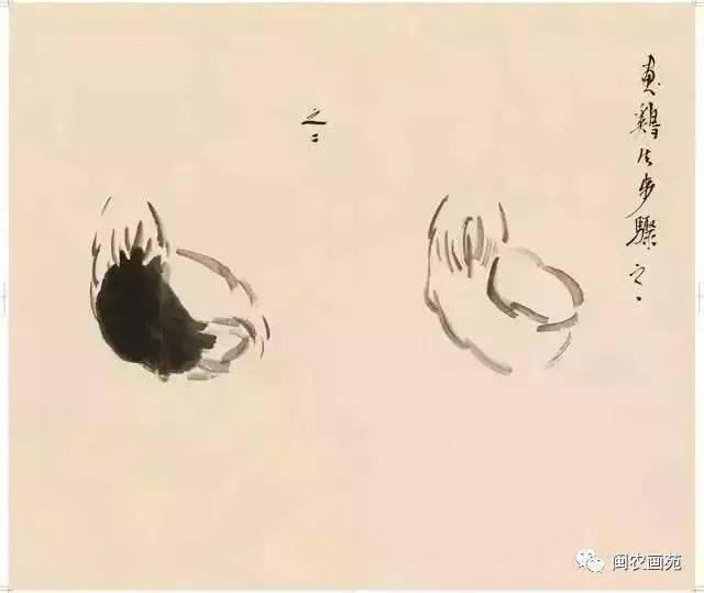 徐悲鸿“手把手”教画花鸟,干货。