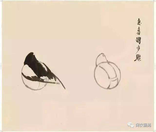 徐悲鸿“手把手”教画花鸟,干货。