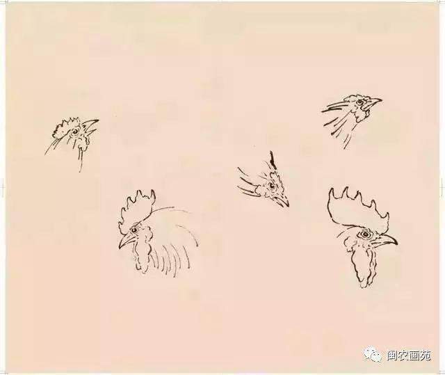 徐悲鸿“手把手”教画花鸟,干货。