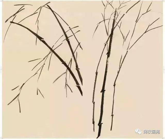 徐悲鸿“手把手”教画花鸟,干货。