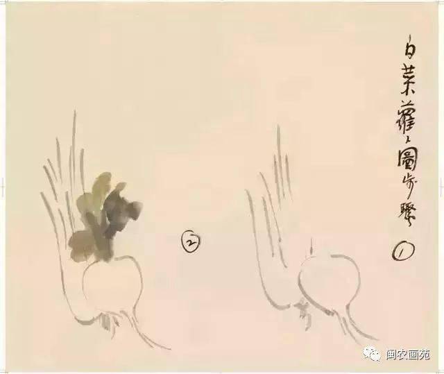 徐悲鸿“手把手”教画花鸟,干货。