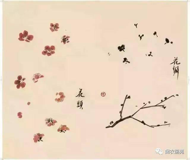 徐悲鸿“手把手”教画花鸟,干货。