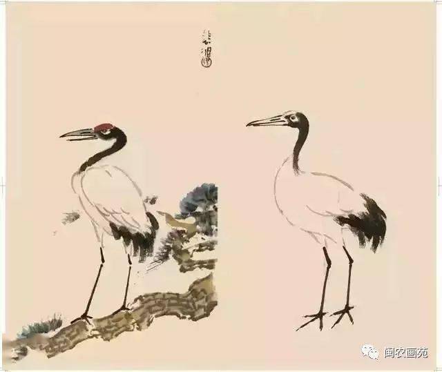 徐悲鸿“手把手”教画花鸟,干货。