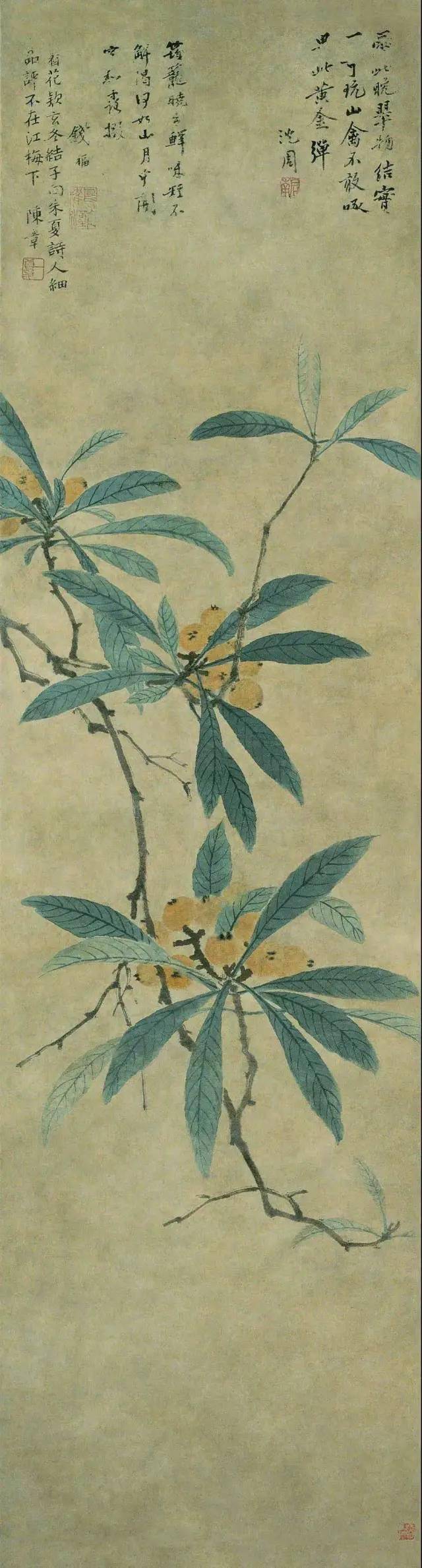 “小满枇杷半坡黄”,画里的枇杷味更诱人哦