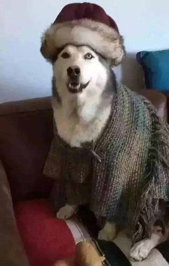 “哎呀妈呀!不行了! 谁来救救我!! ”哈哈哈哈哈哈哈哈哈哈