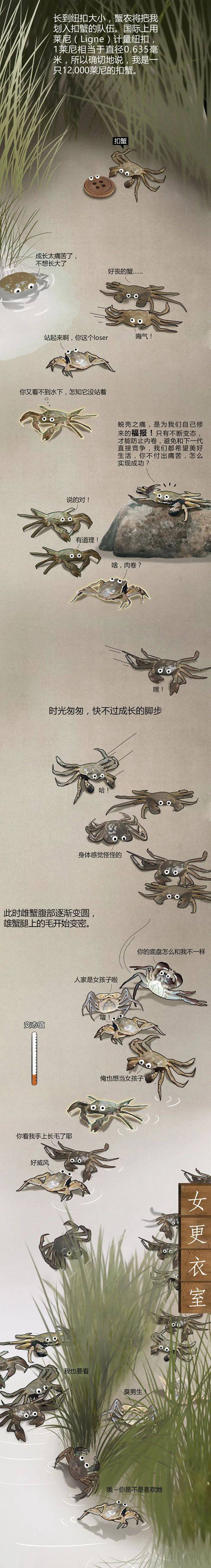 蟹塘梦幻曲