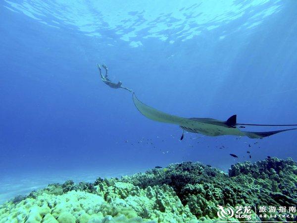 【转】上天入海 夏威夷解锁户外运动新玩法