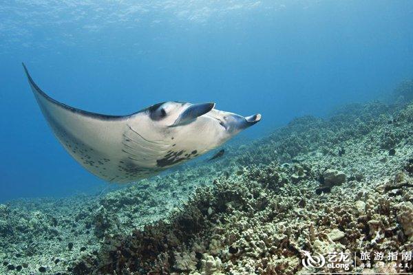 【转】上天入海 夏威夷解锁户外运动新玩法
