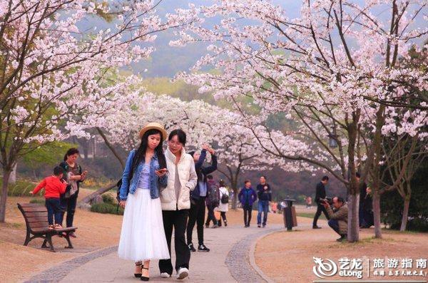 【转】邂逅春色 江浙沪八个赏樱胜地推荐