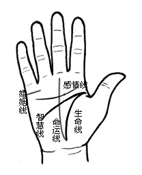 教你解读手相的秘密!