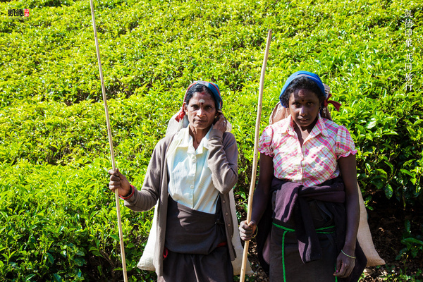 【转】十个斯里兰卡旅行实用小贴士
