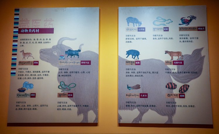 【转】香格里拉,美丽梦幻的人间天堂