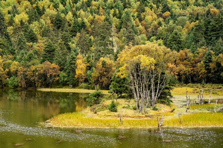 【转】香格里拉,美丽梦幻的人间天堂