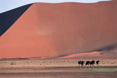 在津巴布韦体验漂流旅行