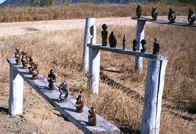 在津巴布韦体验漂流旅行