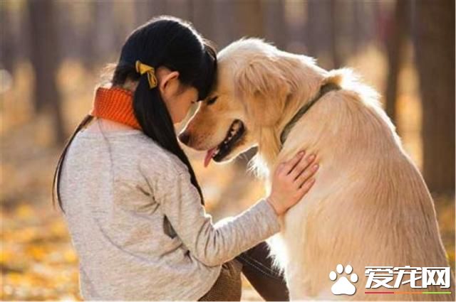 家有一狗如有一大宝 好处多多