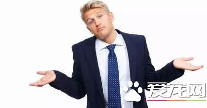我们的佛系狗狗 会给人带来哪些故事