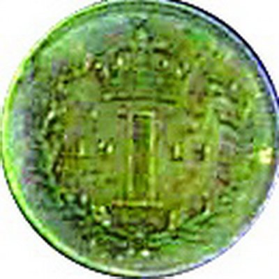 【飘在海外系列活动1】濯足节