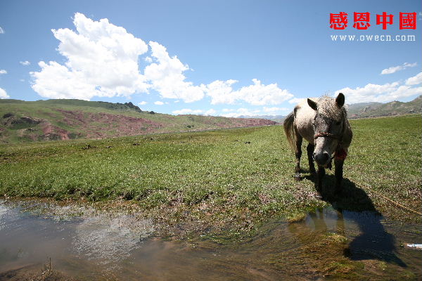 青海省玉树县震前风景印象图片!