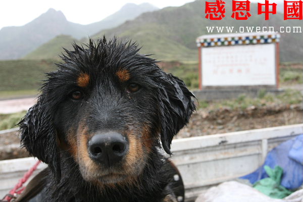 青海省玉树县震前风景印象图片!