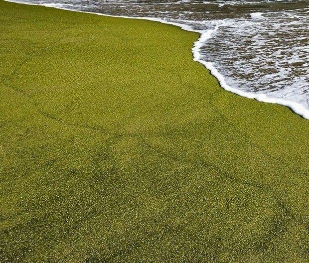 【转】在夏威夷 有一片传说中是抹茶味的沙滩